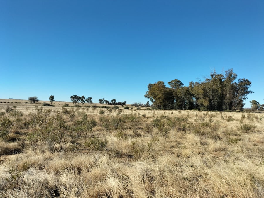 4 Bedroom Property for Sale in Edenburg Rural Free State